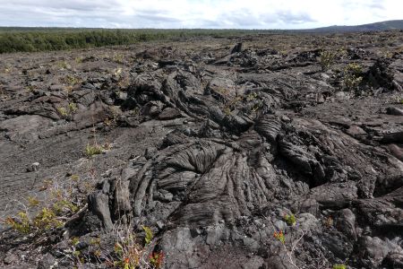 Láva Pahoehoe podél treku ke kráteru Napau